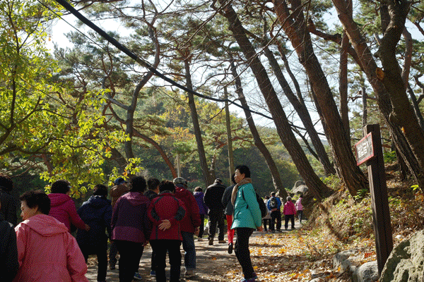 [사회교육] 2015년 역촌노인복지관 제 19차 추계 야외학습 실시 이미지
