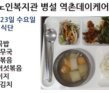 [데이케어] 2023년 8월 23일 수요일 중식 식단 공개 이미지