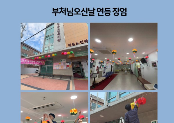 부처님오신날 맞이 연등을 장엄했습니다 !!!! 이미지