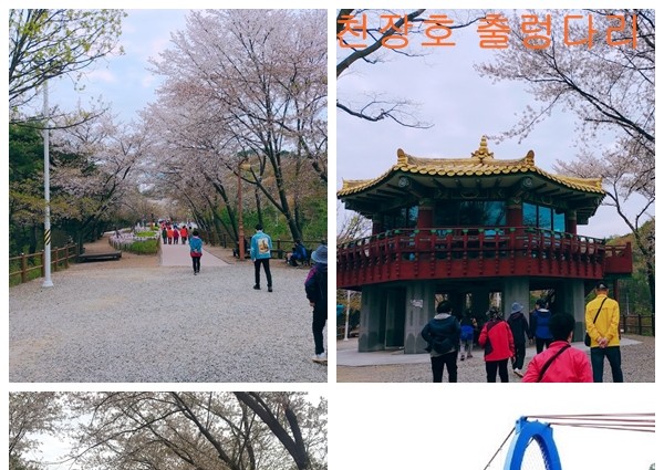 [경로식당] 동지팥죽 특식 제공 이미지