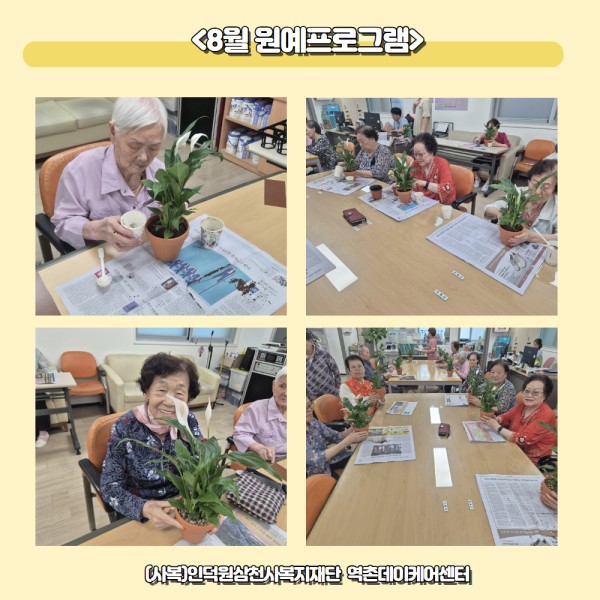 [역촌데이케어센터]8월 원예프로그램 이미지